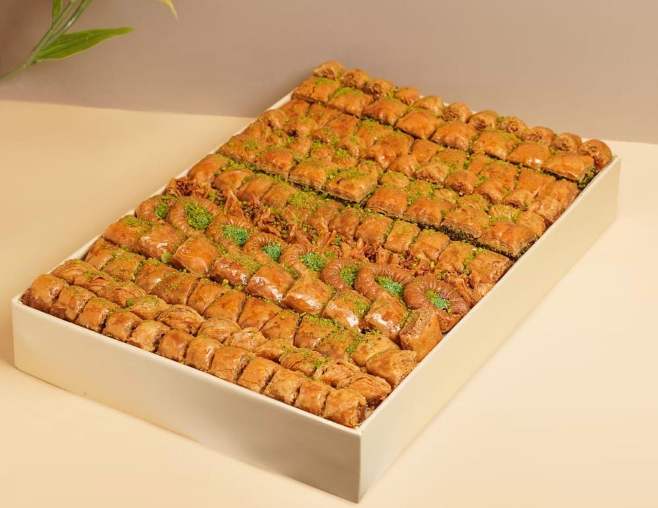 WhatsApp Image 2026-04-03 at 8.13.13 PM (2)