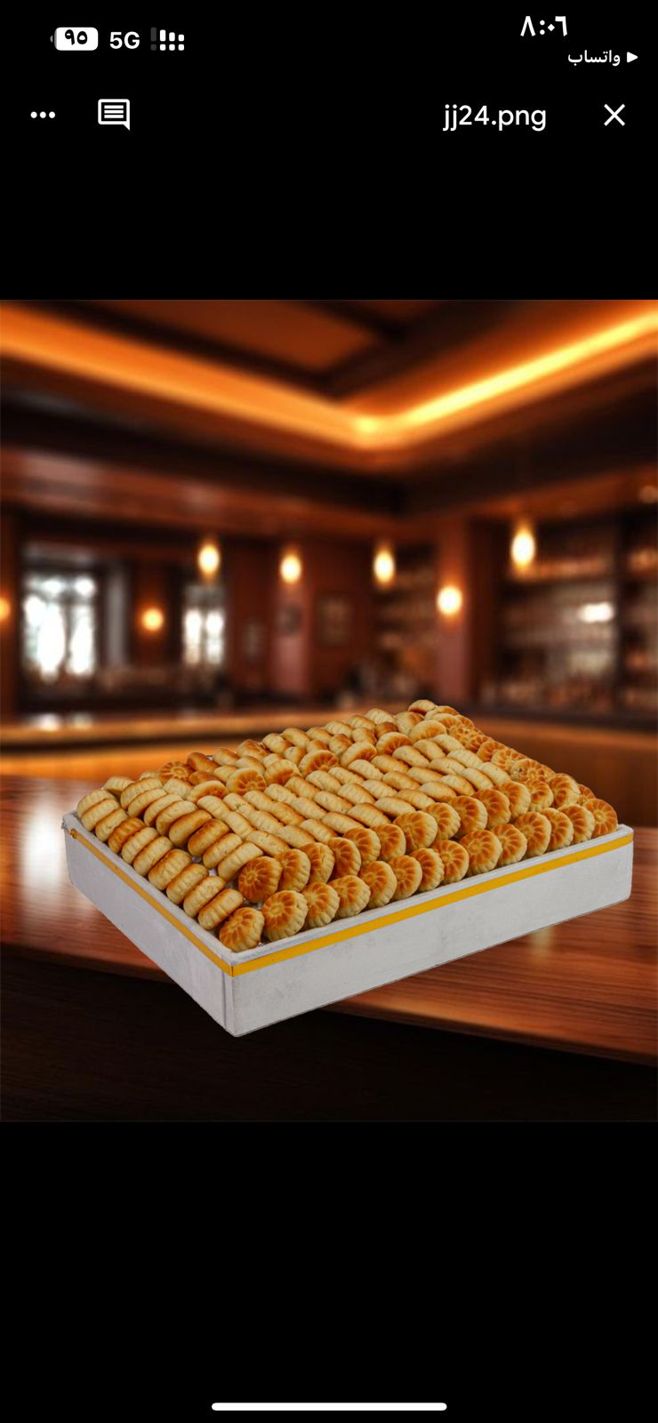 WhatsApp Image 2026-04-03 at 8.13.14 PM (1)